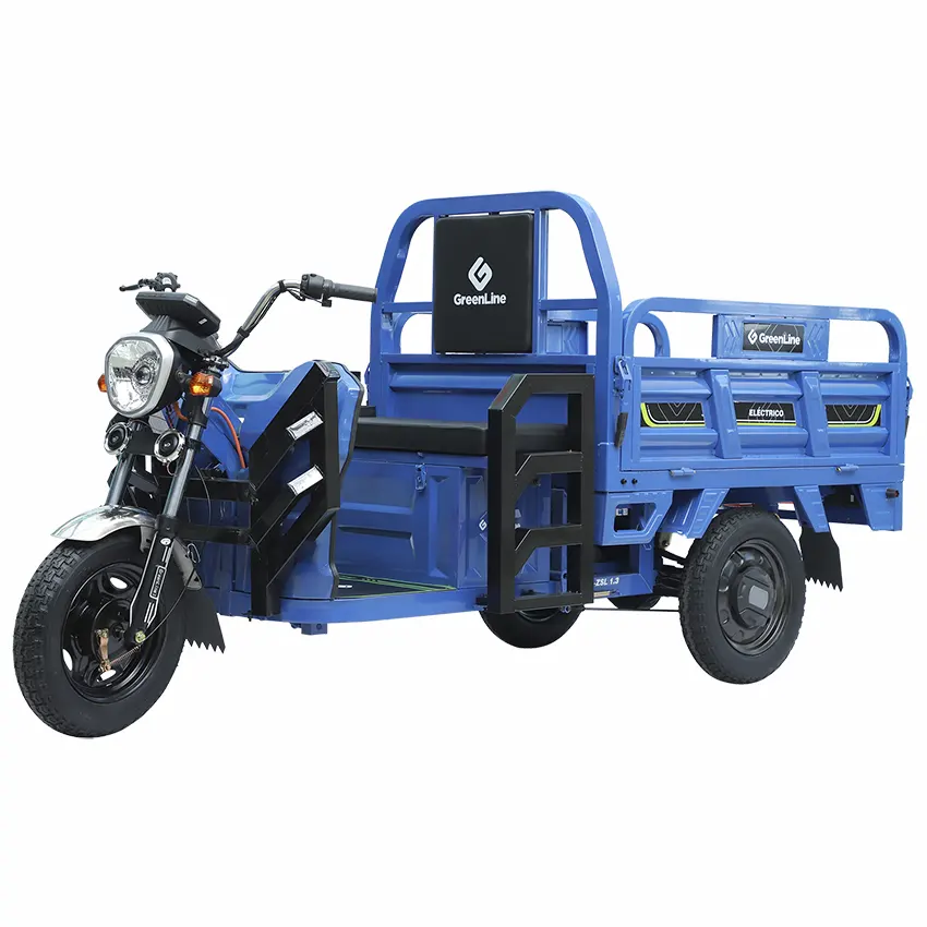 Costo de triciclo de carga on sale